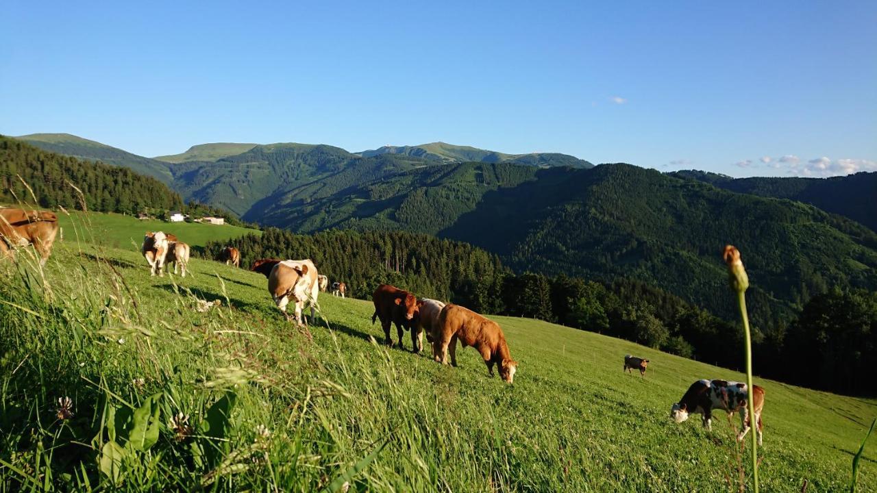 Bauernhof Pension Juri Obergösel エクステリア 写真