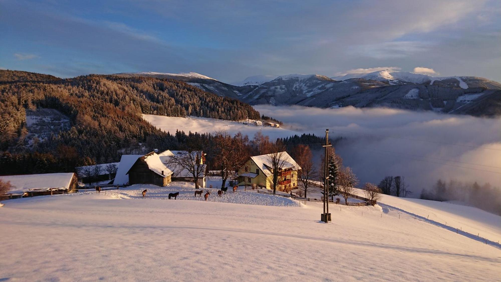 Bauernhof Pension Juri Obergösel エクステリア 写真